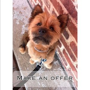 ⭐️⭐️15% OFF Bundles of 2⭐️⭐️